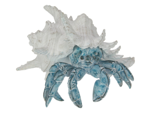 20cm Crab in Shell with Blue & White Coral Design