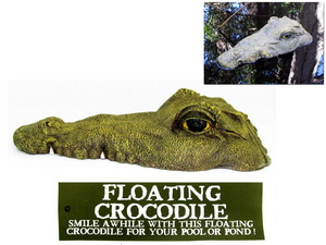 35cm Floating Crocodile with Mouth Closed