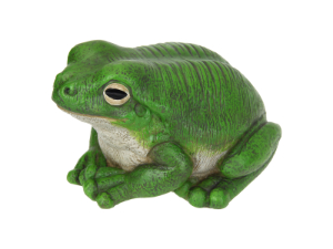 19cm Green Rainforest Garden Frog