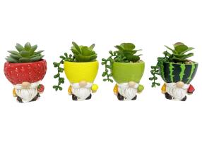 12cm Sitting Gnome Fruit Pot with Succulent 4 Asstd (12=Free Display)