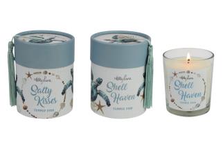 200g Candle with Beach Shack Turtle Design by Kelly Lane 2 Asstd