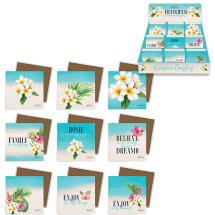 10x10cm Ceramic Coaster with Frangipani Design by Kelly Lane 9 Asstd (72=Free Display)