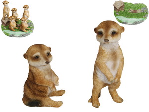 10-14cm Cute Meerkats on Display (36=Free Display)