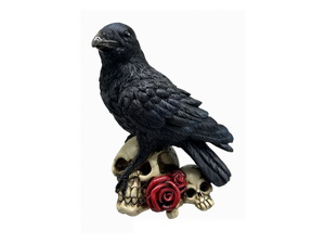 18cm Black Raven on Skulls