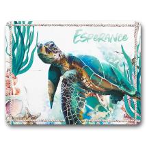 Set of 6 34x27cm Placemat Turtle by Kelly Lane